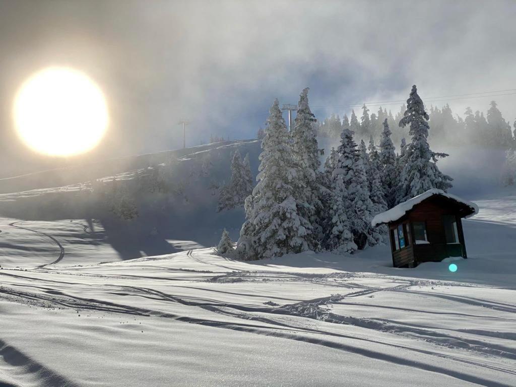 Studio Pied Des Pistes Виллар-де-Ланс Экстерьер фото
