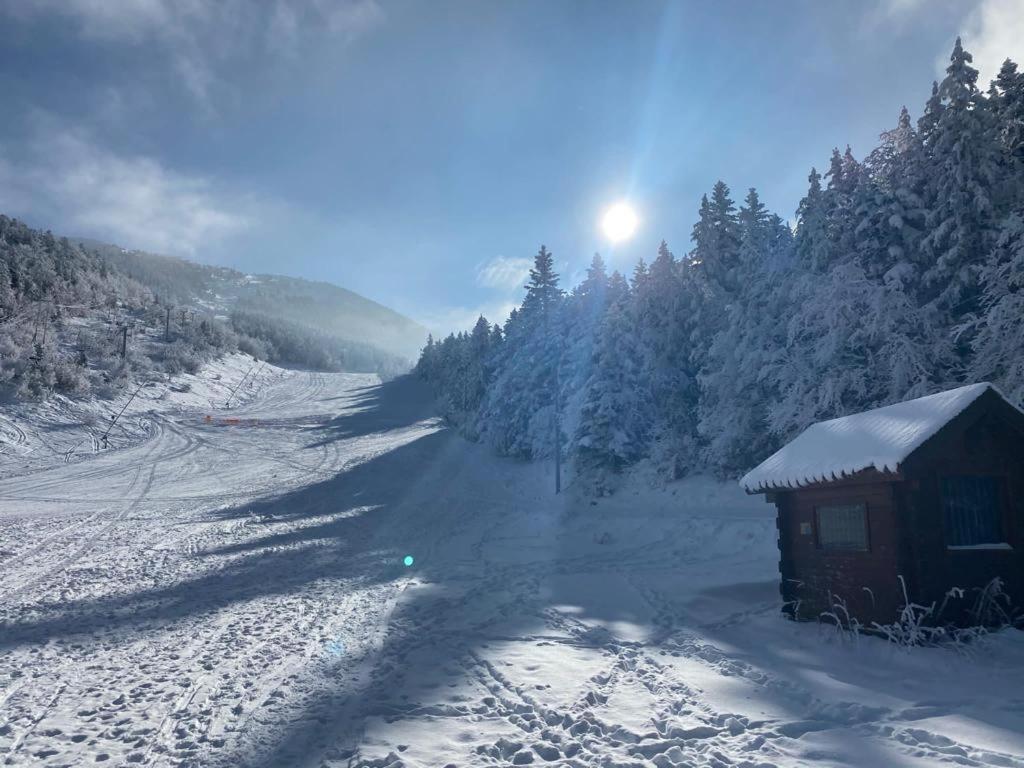Studio Pied Des Pistes Виллар-де-Ланс Экстерьер фото